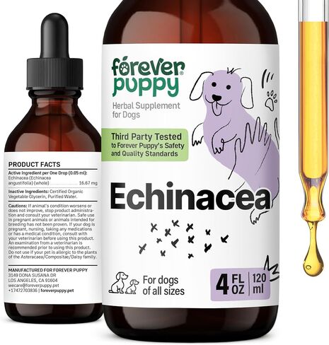 Echinacea Tincture for Dogs - Immune Support for All Breeds & Sizes w/Echinacea Herb - Immune Health Drops for Pets - Dog Food Supplements for Immunity w/Echinacea Liquid Extract - 2 oz in Saudi Arabia