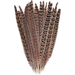 10 Pcs Long Pheasant Tail Feathers Natural Pheasant Feathers Floral Arrangement Feathers Feather Wedding Centerpiece Home Party Decorations