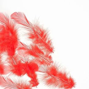 White Feathers 350pcs craft feathers 3-5inch Bulk feathers for crafting crafting Kindergarten DIY Crafts,Wedding Home Party Decorations,Dream Catcher,hair,hat decorating supplies