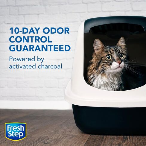 Fresh Step Advanced Simply Unscented Clumping Litter, Fresh Step Unscented Cat Litter Fights Odor on Contact, 37 lbs. (2 x 18.5 lb. Box) in Saudi Arabia