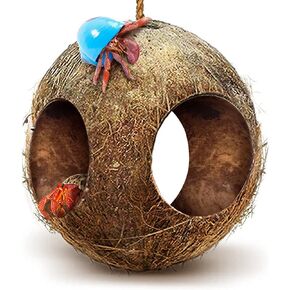 SunGrow Hermit Crab Hut غطاء جوز الهند المريح مع حلقة تعليق وإكسسوارات التسلق