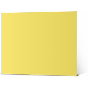 Elmer's Foam Board Multi-Pack, White, 20x30 Inch, Pack of 10