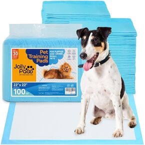 Pet Pee Pads - Strong Absorption& Leak-Proof Pee Pads for Dogs - Puppy Pads - Waterproof Dog Pads, Unscented Dog Training Pads for Cats, Rabbits (Pack of 100 - 22x22)