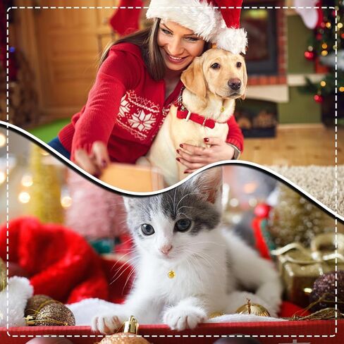 240 Pcs Christmas Red Green Silver Gold Jingle Bells Assortment Kit with 200m Gold Sliver Cord 4 Sizes Craft Bell Bulk for Xmas Home and Pet Decorations in Saudi Arabia