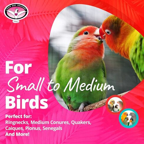 Super Bird Creations SB50949 Pickin’ Pocket Bird Toy - Ideal for Small to Medium Birds - Fun & Entertaining Bird Toy - Bird Safe Component & Design - 7.5" x 5" (2 Pаck) in Saudi Arabia