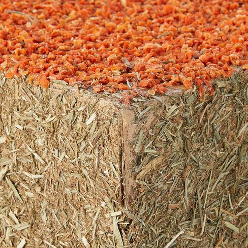 Rosewood Naturals Carrot Cottage House for Guinea Pigs, Chinchillas and Degus, Medium in Kuwait