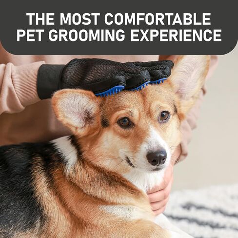 Maxpower Planet Grooming Gloves for Dogs and Cats - Pet Grooming Gloves - Dog Washing Gloves - Gentle Cat Gloves - Pet Grooming Glove Brush (Blue) in Saudi Arabia