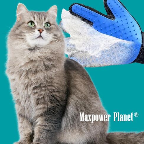 Maxpower Planet Grooming Gloves for Dogs and Cats - Pet Grooming Gloves - Dog Washing Gloves - Gentle Cat Gloves - Pet Grooming Glove Brush (Blue) in Saudi Arabia