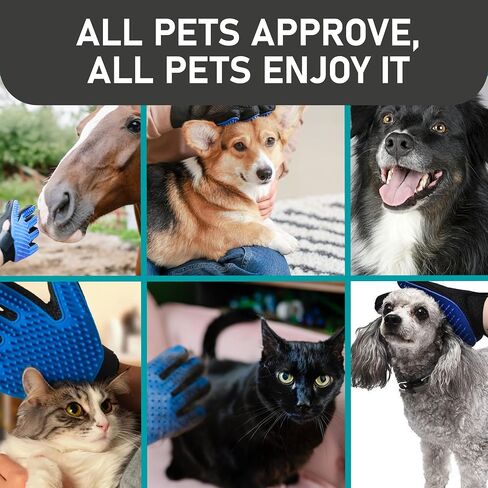 Maxpower Planet Grooming Gloves for Dogs and Cats - Pet Grooming Gloves - Dog Washing Gloves - Gentle Cat Gloves - Pet Grooming Glove Brush (Blue) in Saudi Arabia