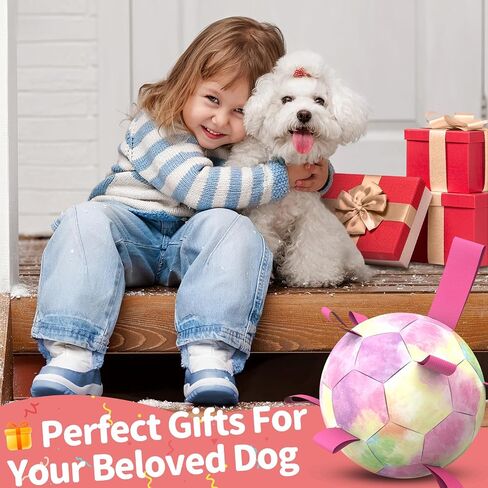 QDAN Dog Toys Soccer Ball with Straps, Puppy Balls Dog Balls for Small Medium Dogs, Dog Water Toys Pool Toys, Puppy Dog Birthday Gifts, Rainbow（6 Inch） in Saudi Arabia