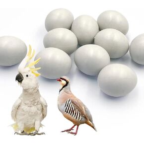 10Pcs Fake Bird Eggs,Stop Egg Laying for Cockatiels, Green Cheeks, Lovebird, Ringneck Dove, Lorikeet
