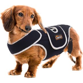 IVDD Dog Back Brace for Slipped and Herniated Discs - Back Brace for Dachshunds and Corgis, Ensuring Spinal Stability and Pain Relief S