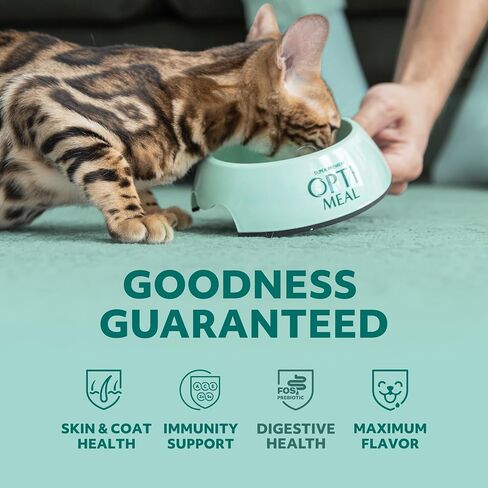 Optimeal Wholesome Tender Morsels Cat Wet Food - Real Morsels, Balanced Recipe for Adult Cats (4.5lbs, 24 Pouches) Lamb & Veggies in Saudi Arabia