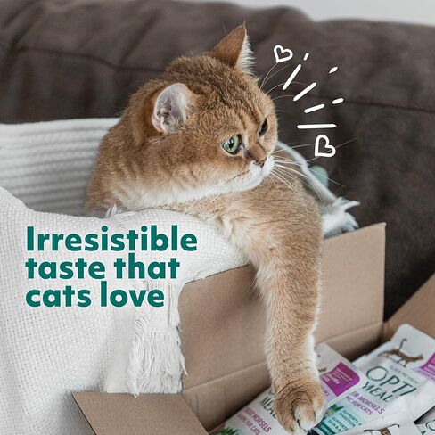 طعام رطب مثالي للقطط - لقم حقيقية، وصفة متوازنة للقطط البالغة (4.5 رطل، 24 كيس) لحم الضأن والخضار in Kuwait