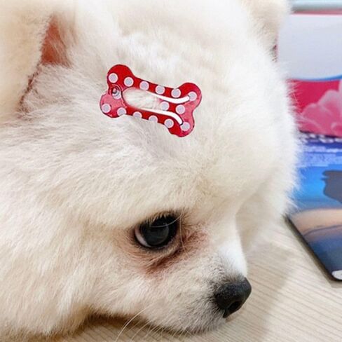 5 Pcs Dog Hair Clips Mini Bone Snap Dog Barrette Small Snap Hair Clips Pet Hair Barrettes Pet Hairpin Dog Hair Accessories Pet Supplies (Rose Red) in Kuwait