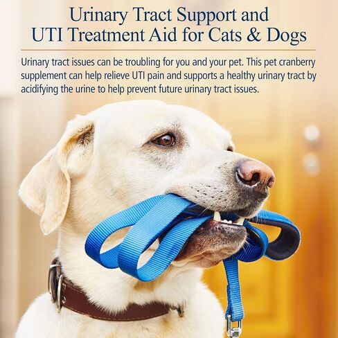 RX Vitamins Cranberry Capsules - Cranberry Supplement for Dogs and Cats - Supports for Urinary Tract Health and Bladder Health - Cat UTI Remedy and Dog UTI Prevention - Boost Immune Support - 90 count in Saudi Arabia