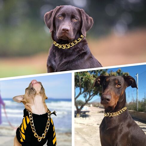 19MM Light Metal Thick Cuban Link Dog Collar,Rose Gold Dog Chain Collar for Medium Large Dogs - 22 Inches Length Dog Necklace Collar in Kuwait