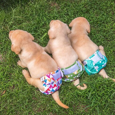 CuteBone Dog Diapers Female Washable Small Medium Large 3 Pack Reusable Doggie Diapers Puppy Period Pants for Doggy Heat Cycle Peeing D70L in Kuwait