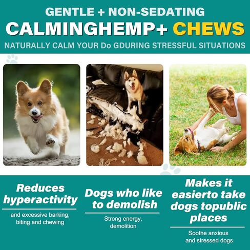Hemp Calming Chews for Dogs, Dog Training & Behavior Aids, Dog Calming Treats, Natural Soothing Snacks Hemp + Valerian Root, Dog Anxiety Relief & Aggressive Behavior, 110PCS Calming Dog Treats in Kuwait