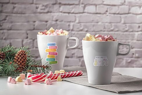 ABTOLS 12 Sheets / 730 pcs Day and Month Planner Stickers, Fitness Budget Workout Mini Planner Stickers, Diary Planning Stickers for Calendar Planning Journal Holiday Seasonal Events in Kuwait