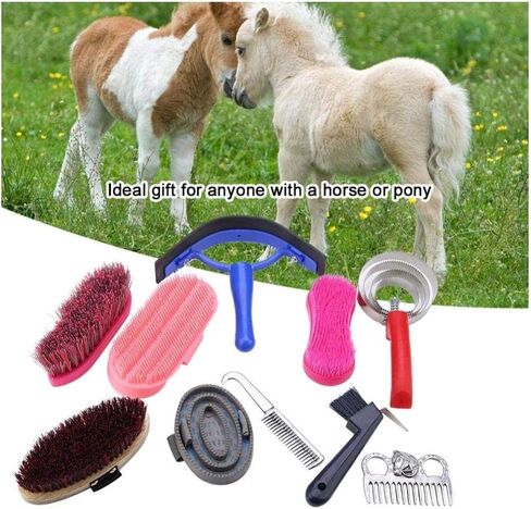 Yosooo Equine Horse Grooming Kit,10 Piece Equine Care Series Set Horse Cleaning Tool Brush Comb Grips Set in Saudi Arabia