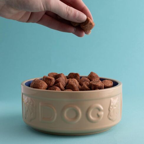 Mason Cash Cane & Blue Lettered Stoneware Dog Bowl, 18 cm in Saudi Arabia
