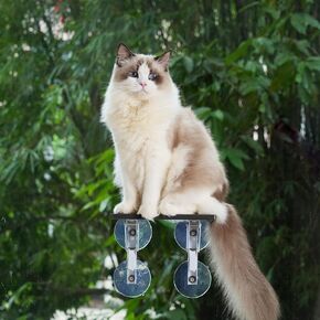 9.5"x7" Petite Cat Window Step (1pc),Leading Cat Easy Climb Up to Higher Large Perch or Safty Down to Windowsill,Durable Small Stair Ladder for Creating Vertical Playground on Window or Door