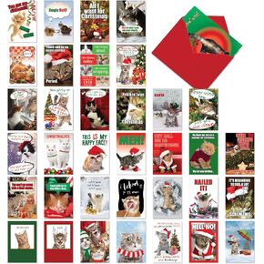 NobleWorks - 36 Assorted Bulk Box Set Funny Cartoons Christmas Cards with Envelopes (36 Designs, 1 Each) Humor Holiday Merry Christmas Variety Pack for Men, Women - A McCoy Bros. AC7139XSG-B1x36