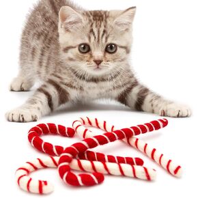 Glaciart One Catnip Wool Balls - Hanging Cat Toys for Indoor Cats, 100% Natural Wool - Hanging or Sliding Cat Ball Toy, Interactive Kitten Toy for Door Handles, Wall Hooks, Gift for Cats - Set of 3