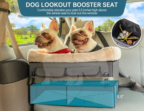 Petsfit Dog Car Seat for Medium Dogs or 2 Small Dogs, Upgraded Dog Booster Car Seat for Front and Back Seats with 2 Safety Leashes (Medium, Deep Grey) in Saudi Arabia