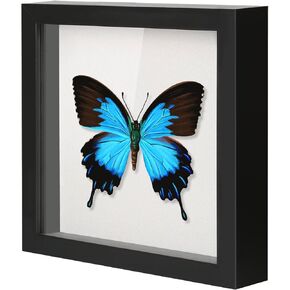 QDSSDECO 10x10 Shadow Box Frame with Linen Backboard & Real Glass, Wood Display Case, Deep Showcase to Hang The Photos, Tickets, Wedding Bouquets, Medals, Baby Sports Memorabilia, Black