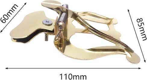 TUOREN Trumpet Marching Lyre Clamp-on Holder Lyre Sheet Music Clip Stand for Trumpet Trombone (Gold-Plated) in Kuwait
