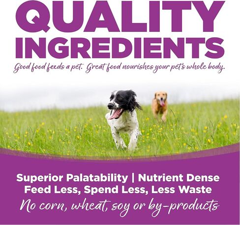 NutriSource Puppy Food for Large Breeds, Chicken and Rice, 26LB in Saudi Arabia