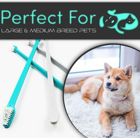 H&H Pets Dog Toothbrush Dual Headed Design Dental Toothbrushes for Small & Large Dogs, 4 or 8 Counts Pack in Kuwait