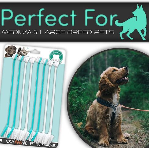 H&H Pets Dog Toothbrush Dual Headed Design Dental Toothbrushes for Small & Large Dogs, 4 or 8 Counts Pack in Kuwait