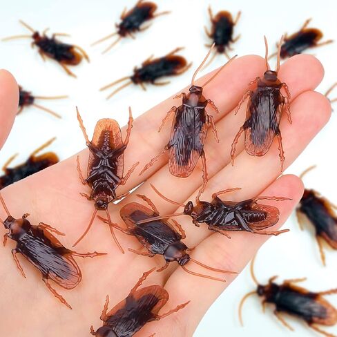 Wirrabilla Premium Fake Cockroaches, Pretty Realistic Fake Roaches, Great Way to Play a Prank, Faux Cockroaches Lifelike Creepy Perfect for Halloween Project, Tricking People, Kid Playing (15PCS) in Saudi Arabia