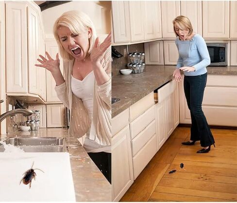 Wirrabilla Premium Fake Cockroaches, Pretty Realistic Fake Roaches, Great Way to Play a Prank, Faux Cockroaches Lifelike Creepy Perfect for Halloween Project, Tricking People, Kid Playing (15PCS) in Saudi Arabia