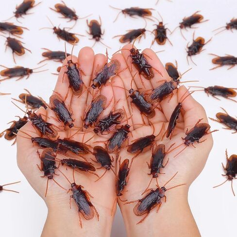 Wirrabilla Premium Fake Cockroaches, Pretty Realistic Fake Roaches, Great Way to Play a Prank, Faux Cockroaches Lifelike Creepy Perfect for Halloween Project, Tricking People, Kid Playing (15PCS) in Saudi Arabia