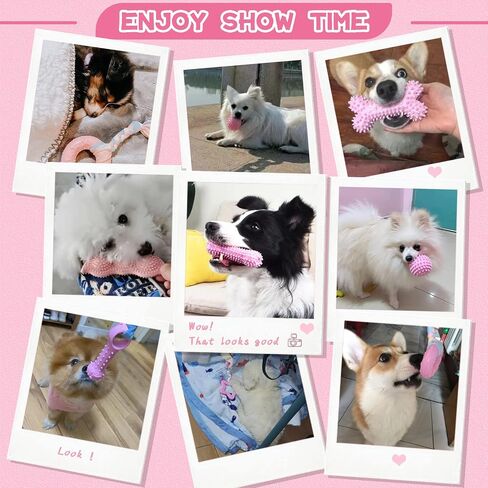 Petcare 6 Pack Puppy Chew Toys for Teething Cute Pink Puppy Toys Small Dog Toys Soft Rubber Rope Dog Toys Funny Bone Ball Cleaning Teeth Dog Chew Toys Puppy Teething Toys for Puppies Yorkie in Kuwait