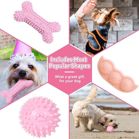 Petcare 6 Pack Puppy Chew Toys for Teething Cute Pink Puppy Toys Small Dog Toys Soft Rubber Rope Dog Toys Funny Bone Ball Cleaning Teeth Dog Chew Toys Puppy Teething Toys for Puppies Yorkie in Kuwait