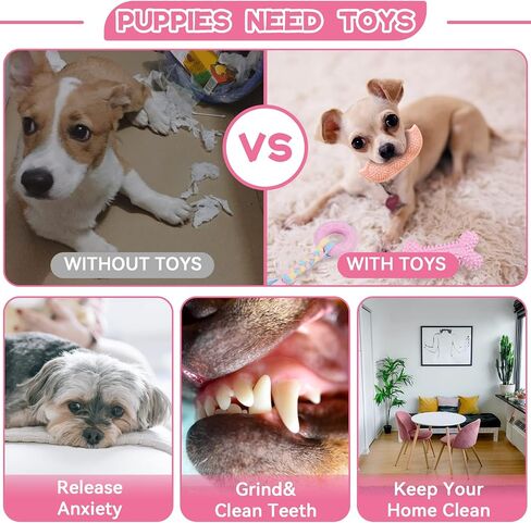 Petcare 6 Pack Puppy Chew Toys for Teething Cute Pink Puppy Toys Small Dog Toys Soft Rubber Rope Dog Toys Funny Bone Ball Cleaning Teeth Dog Chew Toys Puppy Teething Toys for Puppies Yorkie in Kuwait