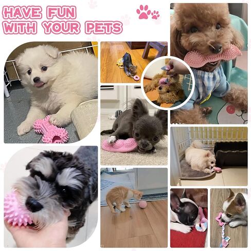 Petcare 6 Pack Puppy Chew Toys for Teething Cute Pink Puppy Toys Small Dog Toys Soft Rubber Rope Dog Toys Funny Bone Ball Cleaning Teeth Dog Chew Toys Puppy Teething Toys for Puppies Yorkie in Kuwait