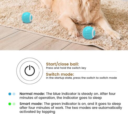 Smart Interactive Cat Toy Ball Wicked Ball,Automatic Moving Cat Ball Toys with Catnip,USB Rechargeable,Best Gift for Your Cat/Kitty,Blue in Saudi Arabia