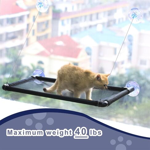 Cat Hammock for Wall with 4 Suction Cups, Cat Window Perch, Space Saving and Easy Mounted Large Cat Bed, Pet Resting Safety Holds (Medium) in Saudi Arabia