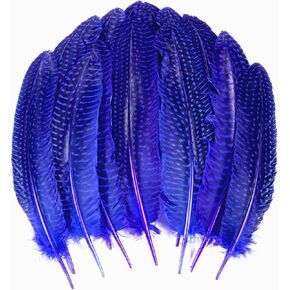 ثاراهت 24 قطعة من الريش المرقط الطبيعي بألوان مختلفة ريش جناح الطيور الغينية مقاس 6-8 بوصات للملابس الحرفية والمجوهرات DIY ديكور ريش جناح الطيور الغينية in Kuwait