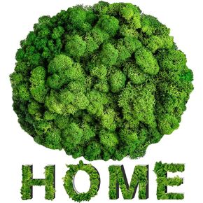 Sukh Preserved Moss - 3.5 OZ Moss for Crafts Faux Moss Decor Natural Green Moss DIY Art Wall Floral Moss Terrariums Gardenning Decor Wedding Easter Table Home Office Art Landscape Garden Decoration