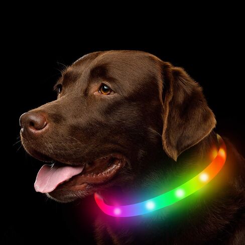 LED Dog Collar, Rechargeable RGB Color Changing Light Up Dog Collars, Waterproof Dog Lights Make Pet Visible and Safety for Night Walking，Outdoor, Camping, for Small Medium Large Dogs in Saudi Arabia