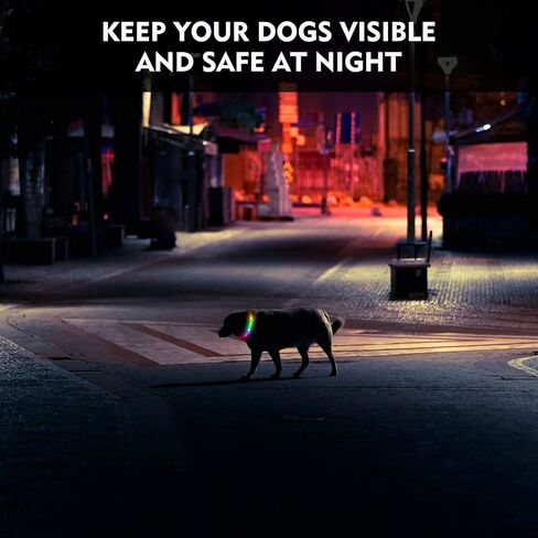 LED Dog Collar, Rechargeable RGB Color Changing Light Up Dog Collars, Waterproof Dog Lights Make Pet Visible and Safety for Night Walking，Outdoor, Camping, for Small Medium Large Dogs in Saudi Arabia