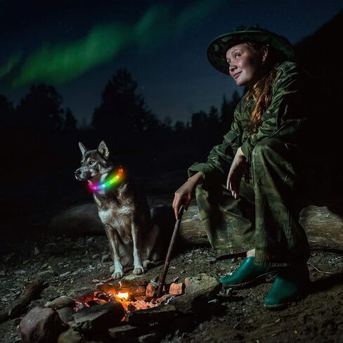 LED Dog Collar, Rechargeable RGB Color Changing Light Up Dog Collars, Waterproof Dog Lights Make Pet Visible and Safety for Night Walking，Outdoor, Camping, for Small Medium Large Dogs in Saudi Arabia