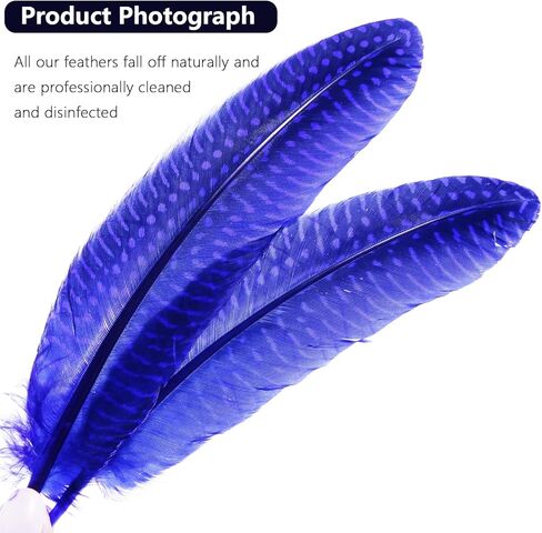 ثاراهت 24 قطعة من الريش المرقط الطبيعي بألوان مختلفة ريش جناح الطيور الغينية مقاس 6-8 بوصات للملابس الحرفية والمجوهرات DIY ديكور ريش جناح الطيور الغينية in Kuwait